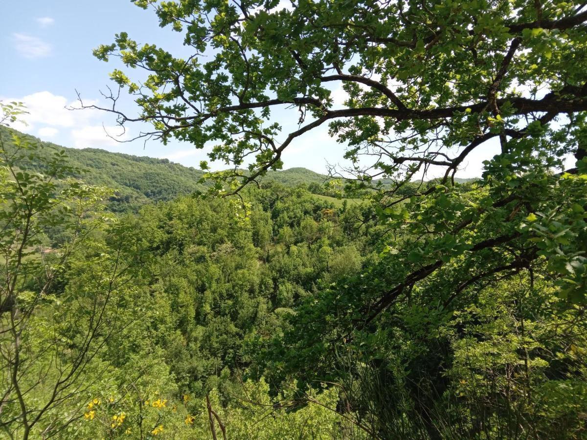 Molino Sant'Anna Casa Biron 게스트하우스 외부 사진